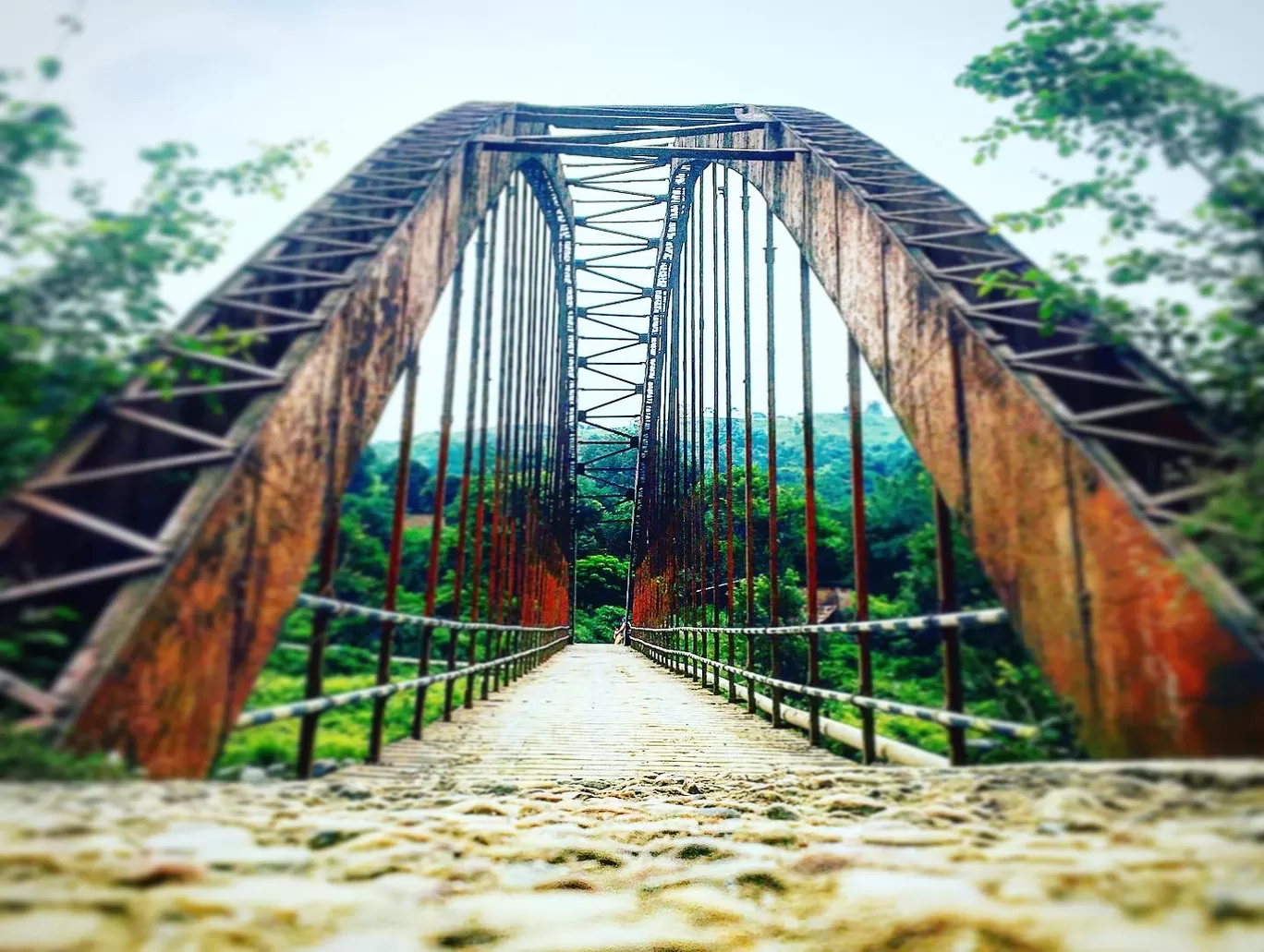 Photo of Kangra Velly By Thakur Rahul