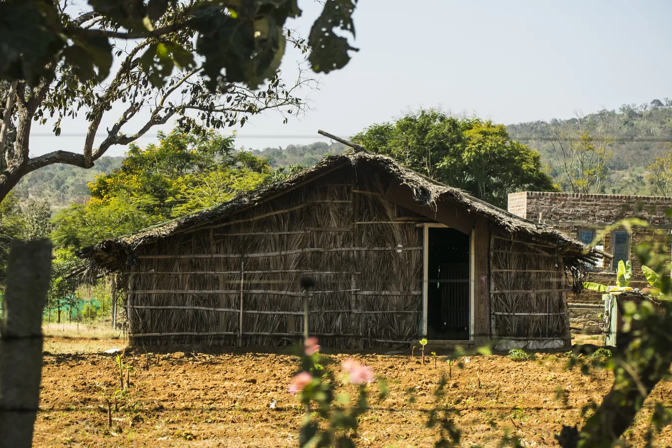 Photo of Bandipur By Aprajita Parkash