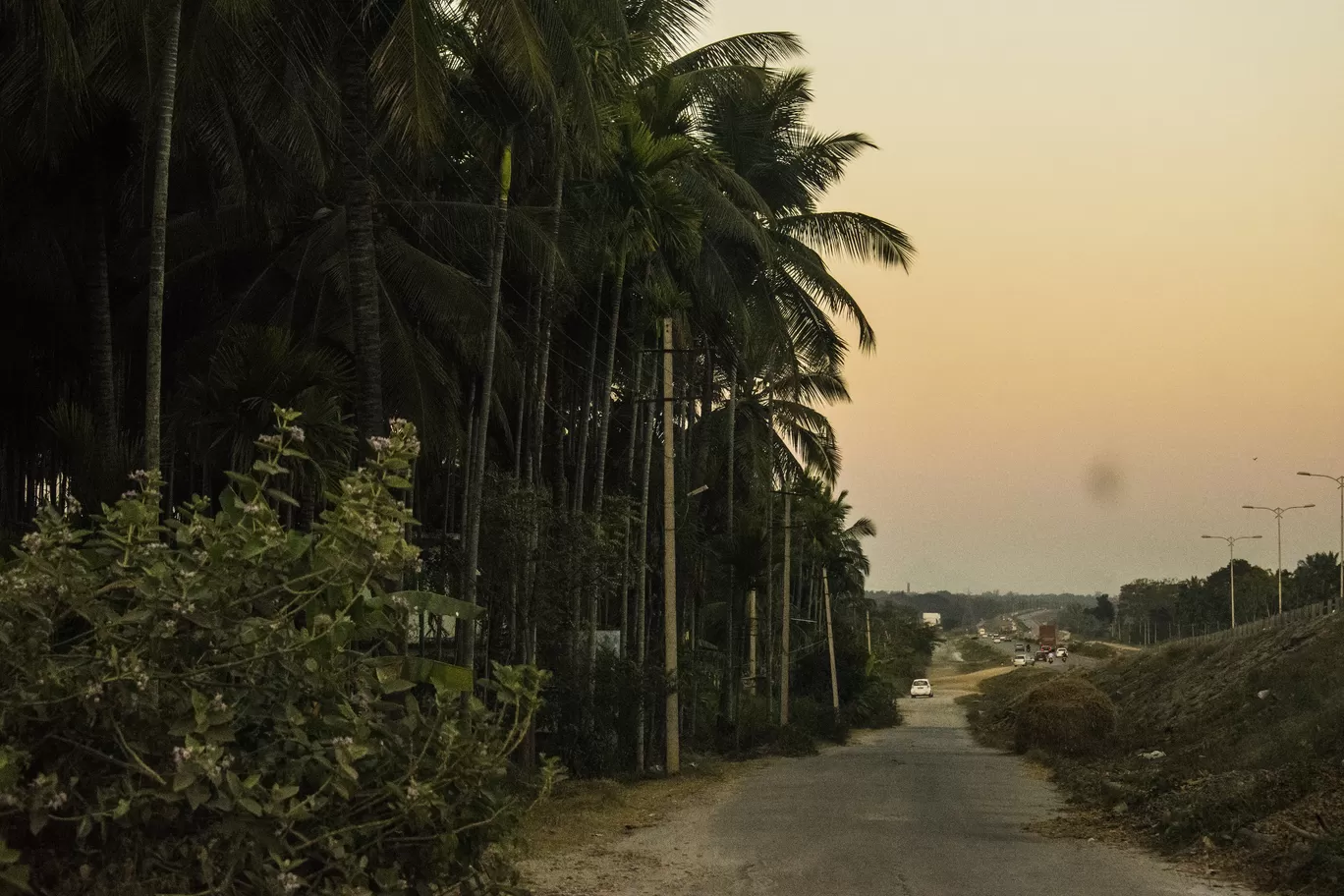 Photo of Bandipur By Aprajita Parkash