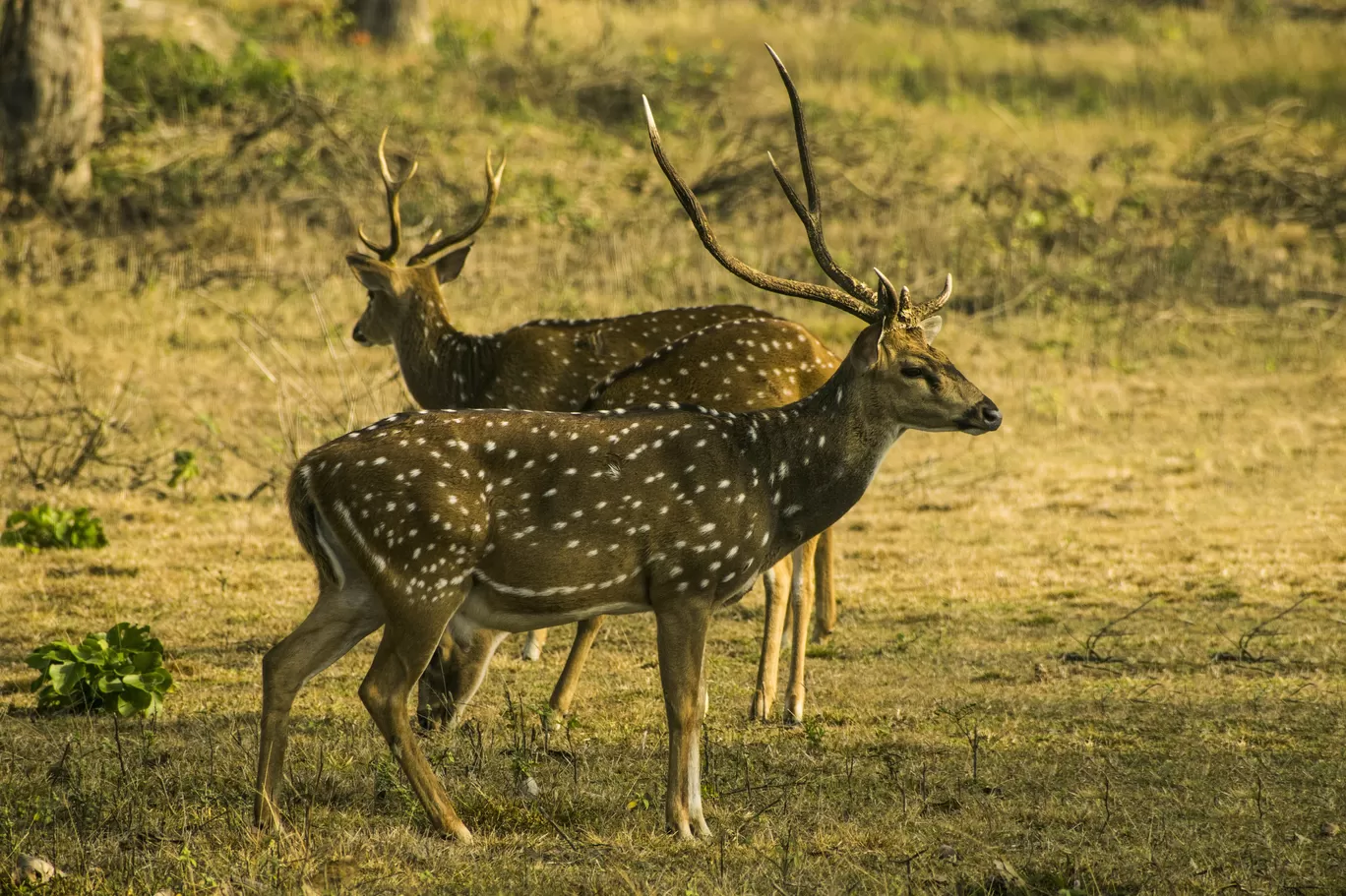 Photo of Delhi By Aprajita Parkash