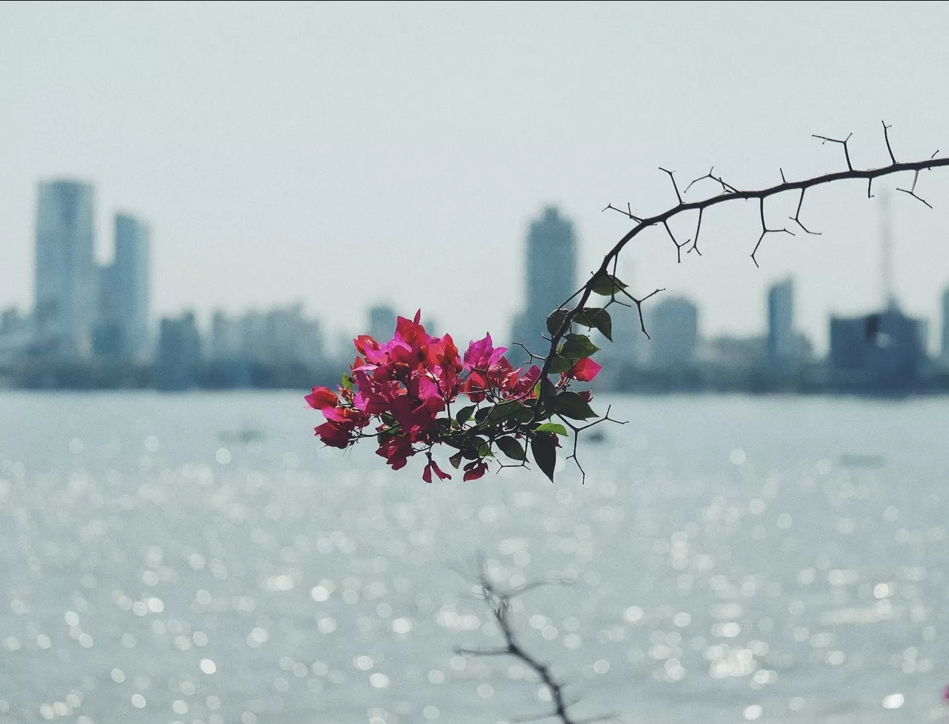 Photo of Worli Village By Arnav Jawlekar