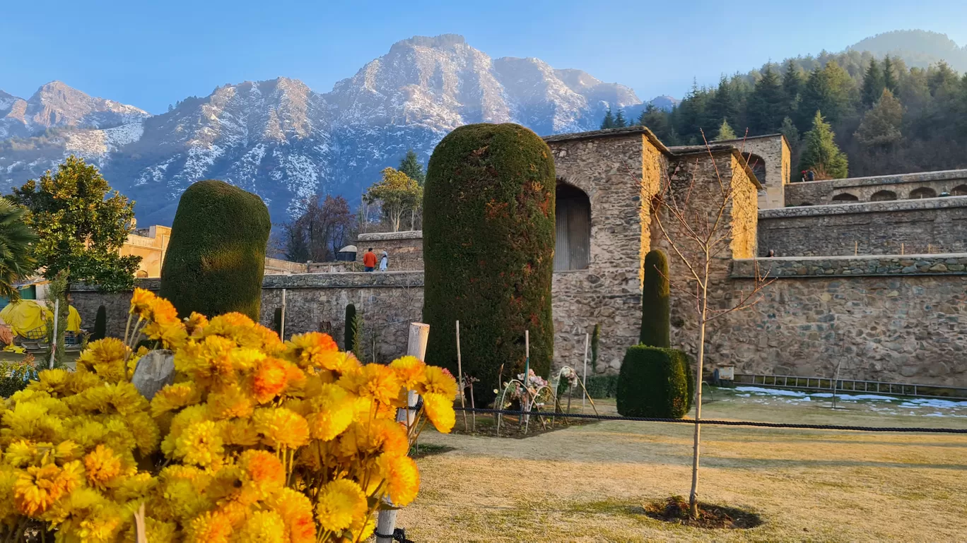 Photo of Srinagar By Wandering Monk