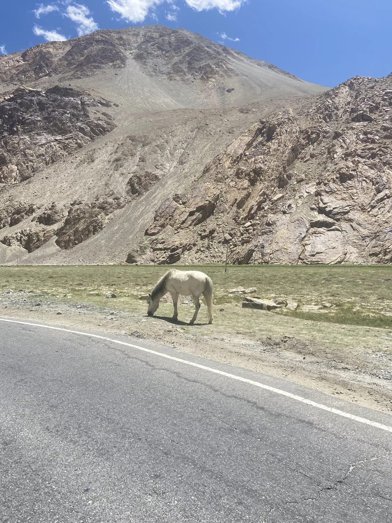 Photo of Ladakh By Akshita Duggal