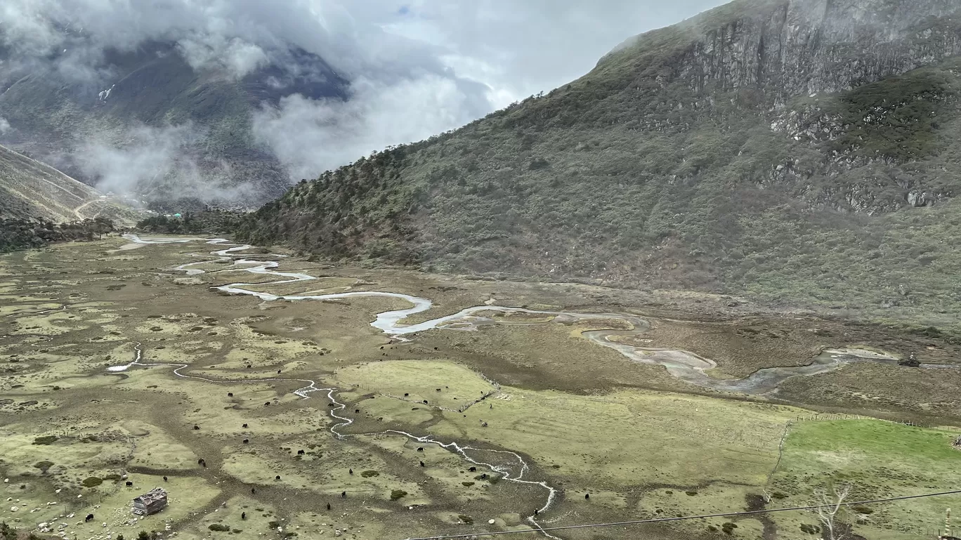 Photo of Chopta Valley By Baishakhee Mohapatra