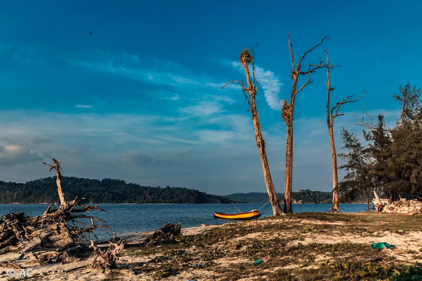 Photo of Wandoor By Abhishek Chatterjee