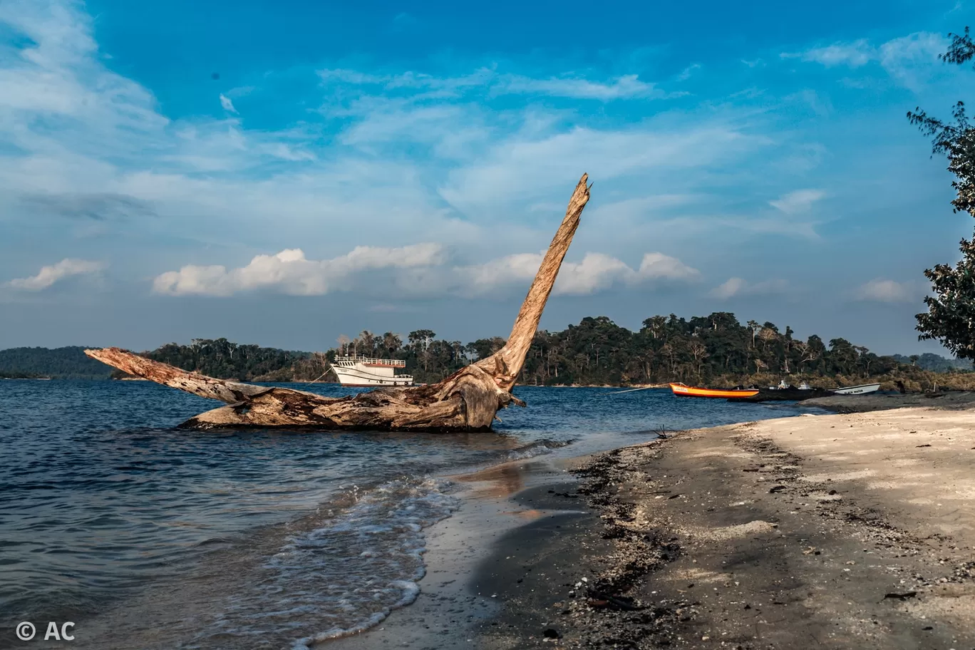 Photo of Wandoor By Abhishek Chatterjee