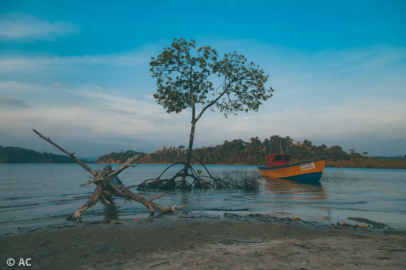 Photo of Wandoor By Abhishek Chatterjee