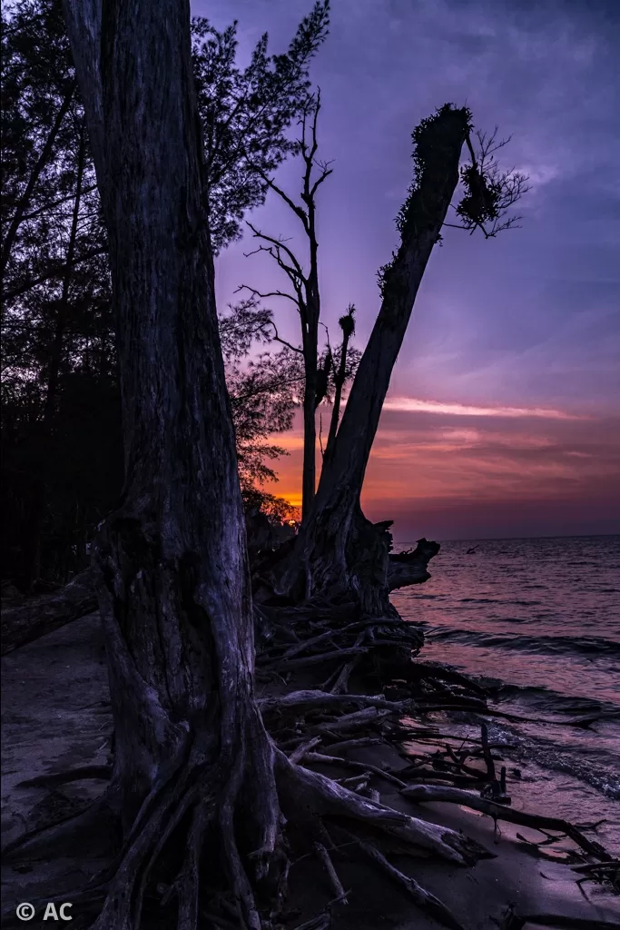 Photo of Wandoor By Abhishek Chatterjee
