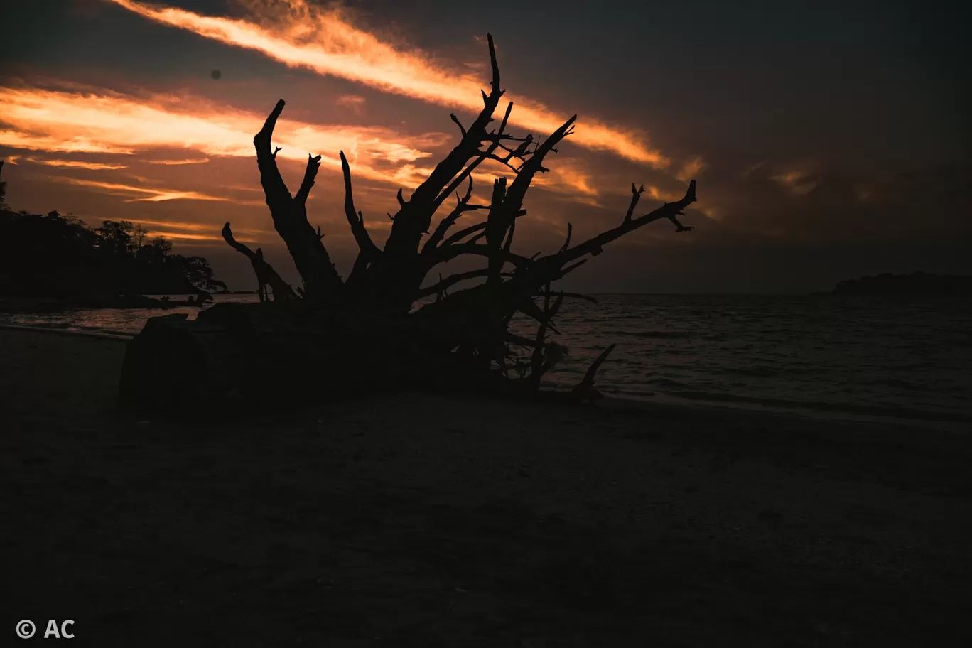 Photo of Wandoor By Abhishek Chatterjee