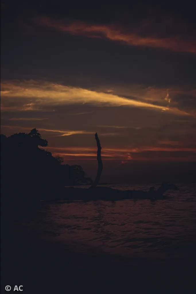 Photo of Wandoor By Abhishek Chatterjee