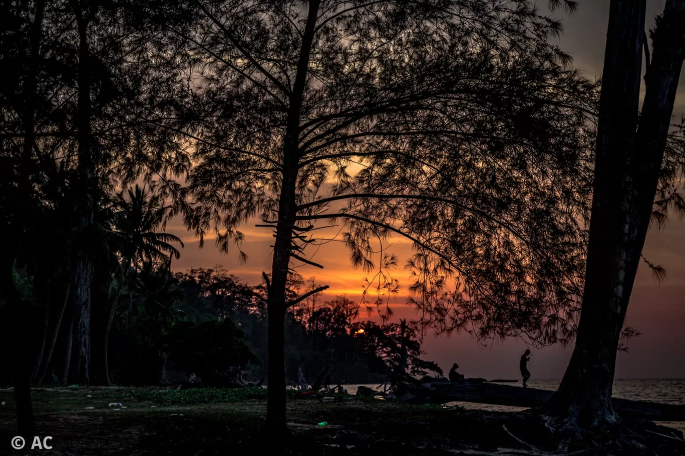 Photo of Wandoor By Abhishek Chatterjee