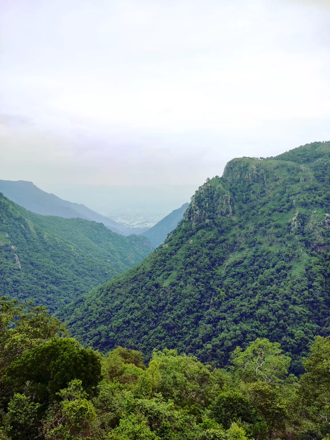 Photo of Kolli Hills By Dineshkanna
