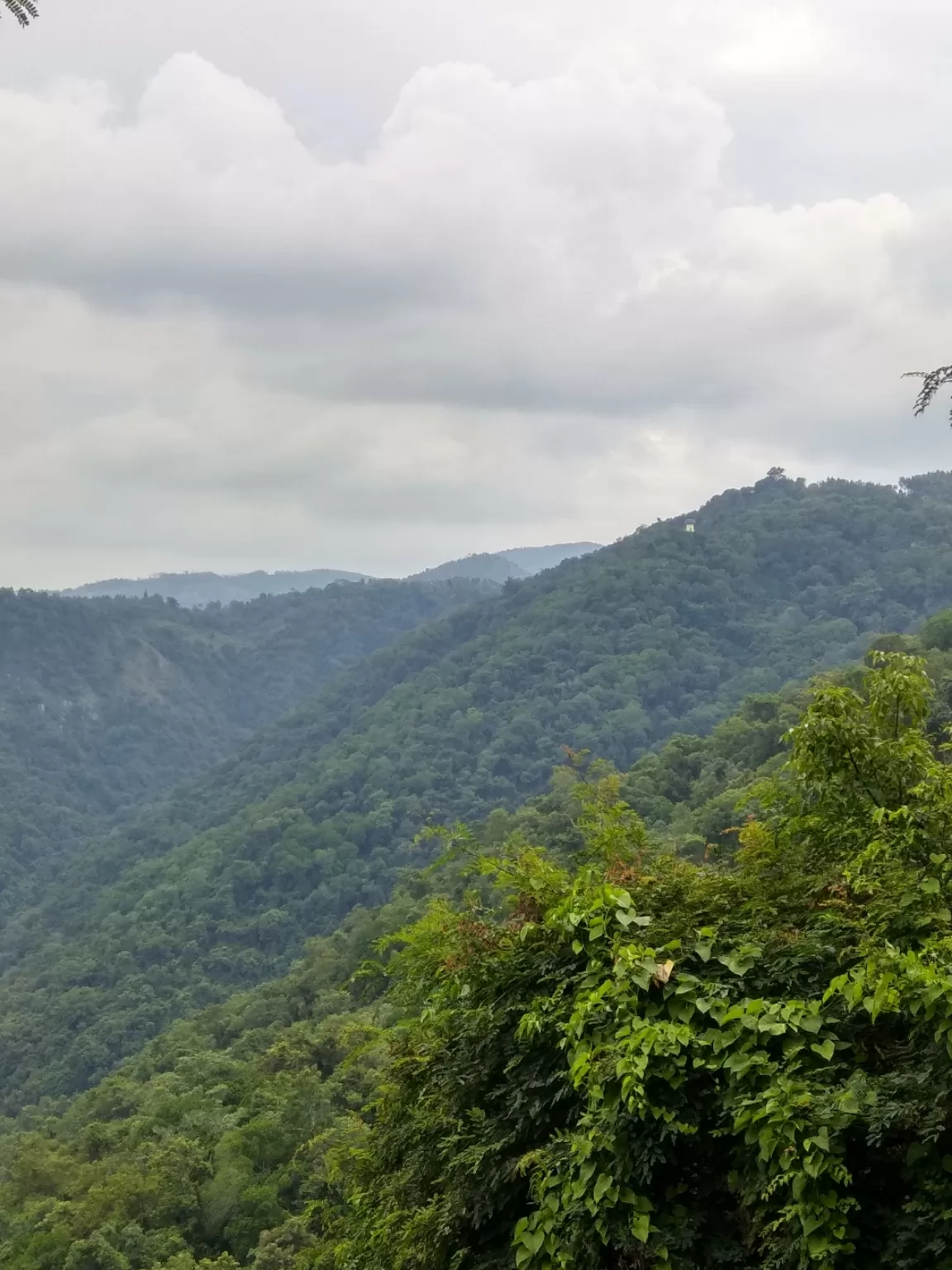 Photo of Kolli Hills By Dineshkanna