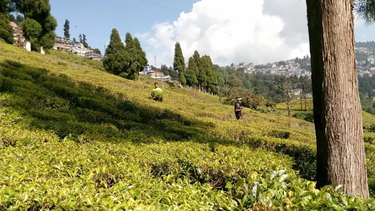 Photo of Darjeeling By Reeta Murmu