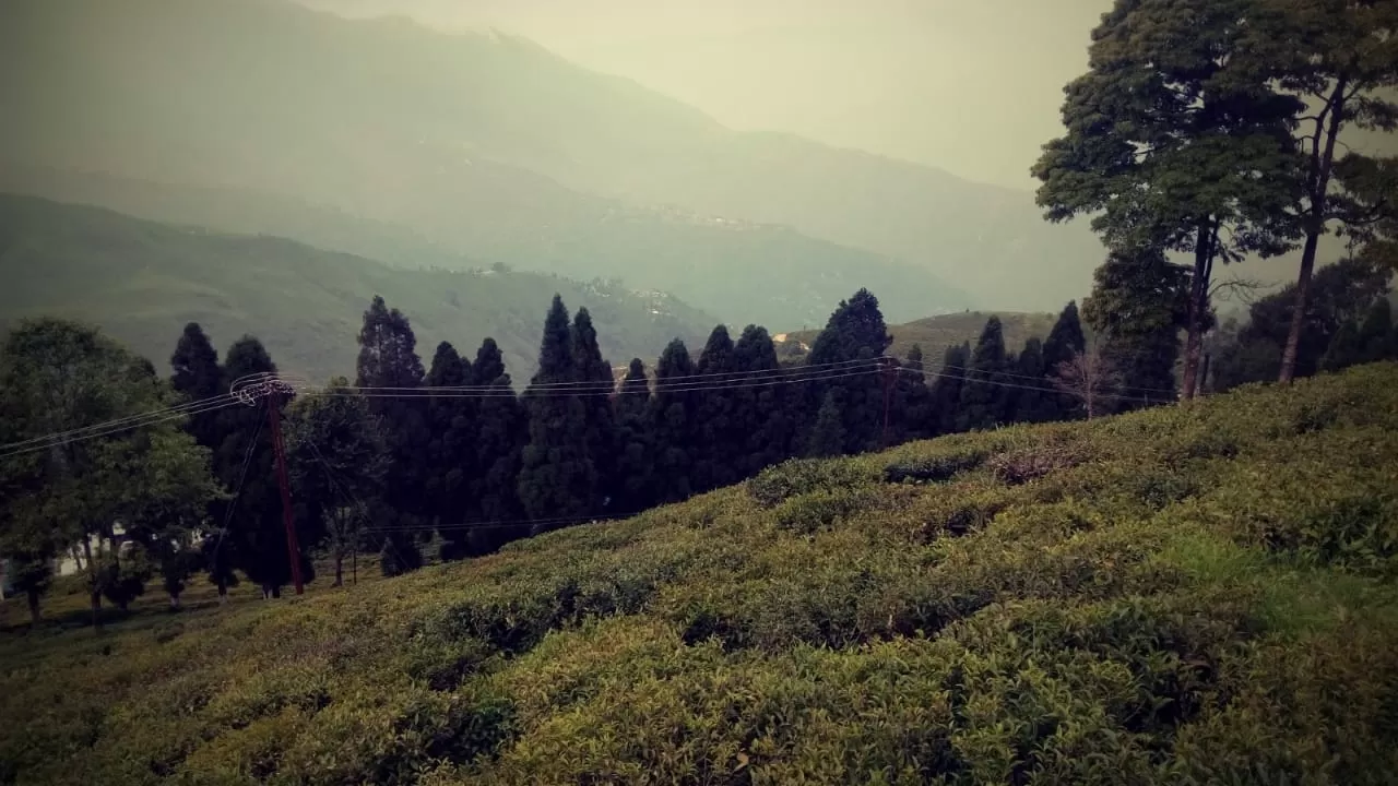 Photo of Darjeeling By Reeta Murmu