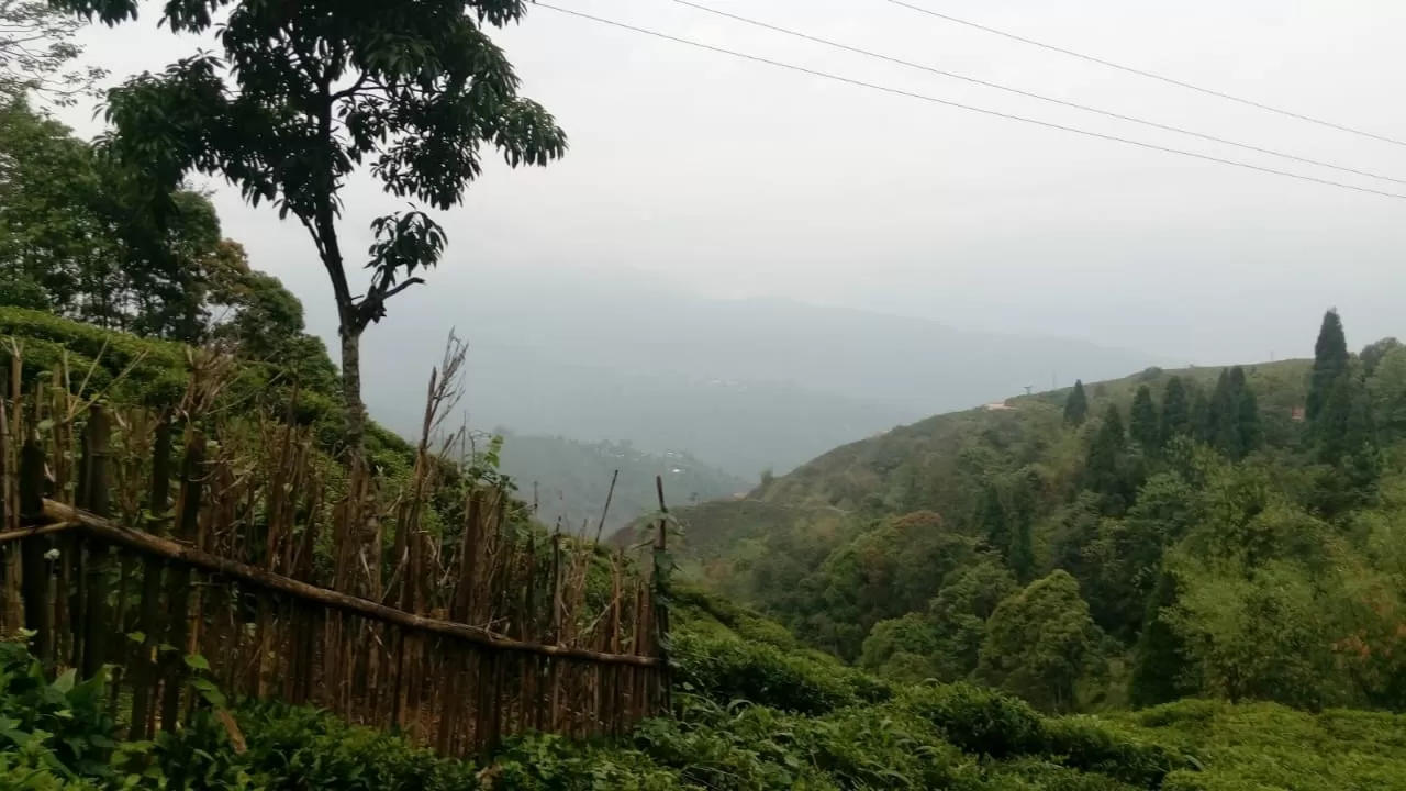 Photo of Darjeeling By Reeta Murmu