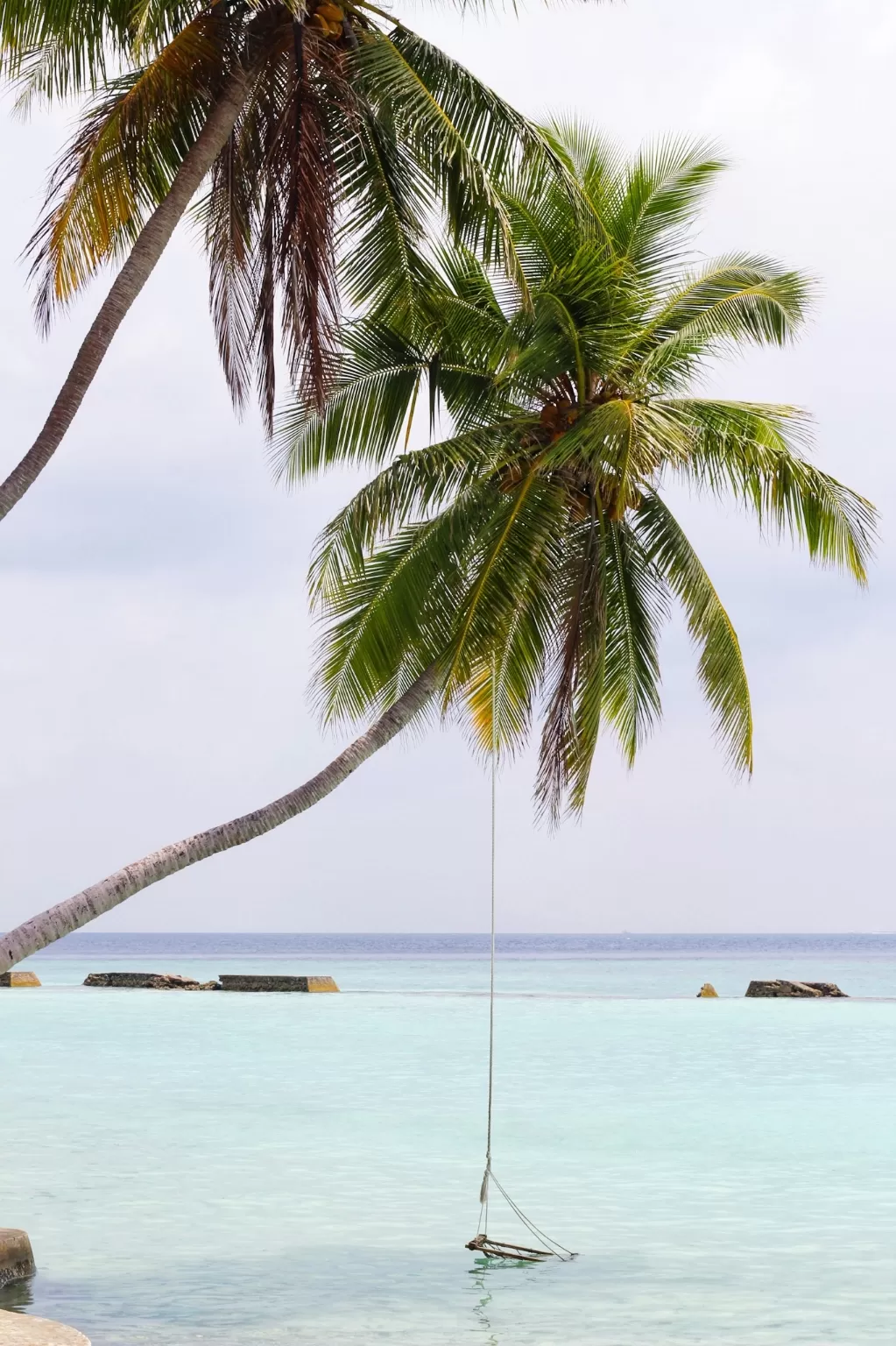 Photo of Maldive Islands By 1TeaspoonLove ®