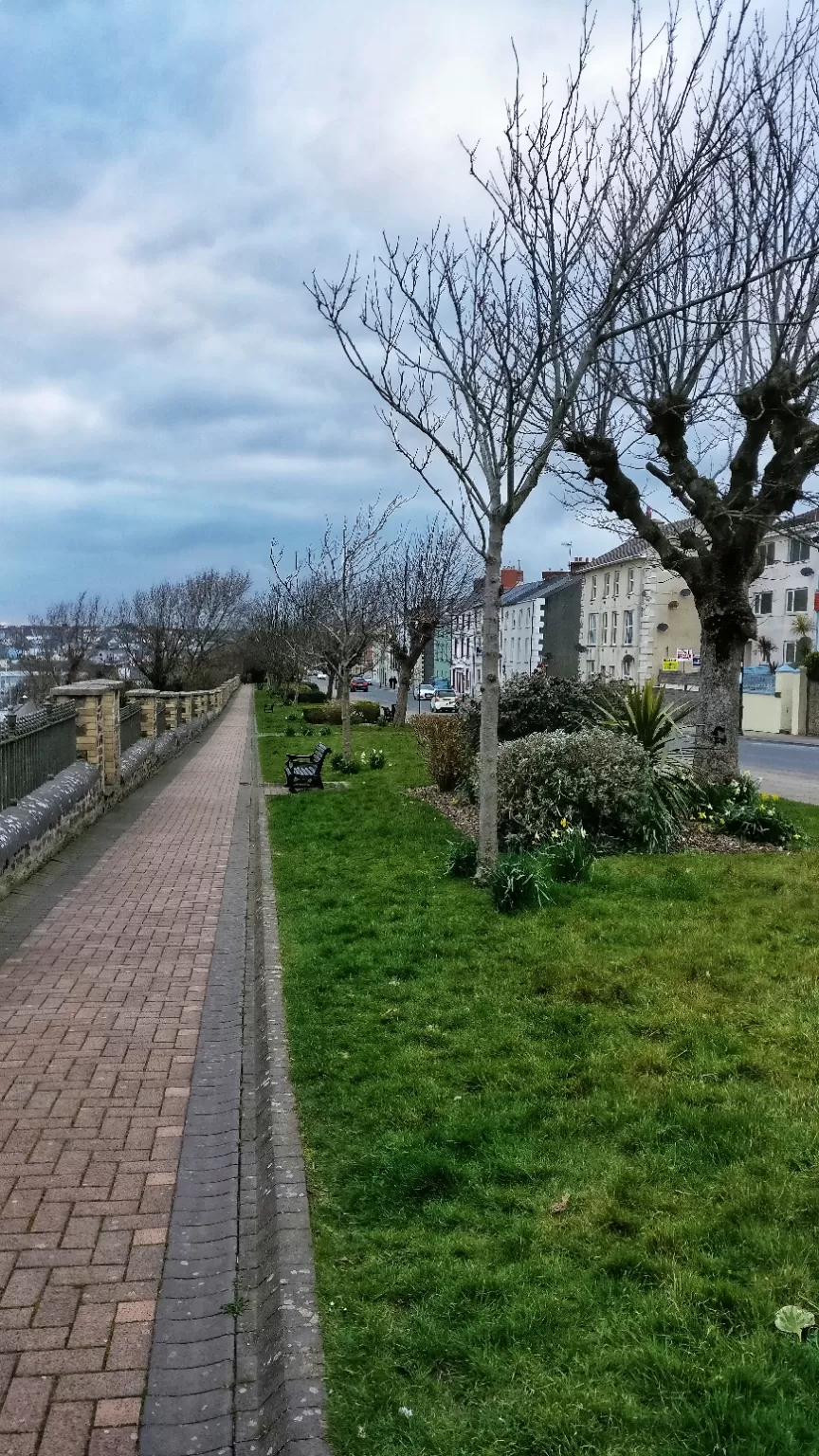 Photo of Milford Haven By Max Dcruz