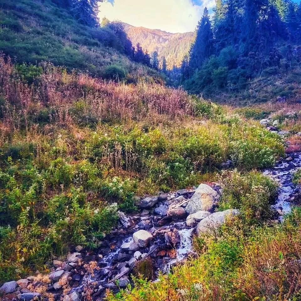 Photo of Waichin valley camps By Abhinav Singh