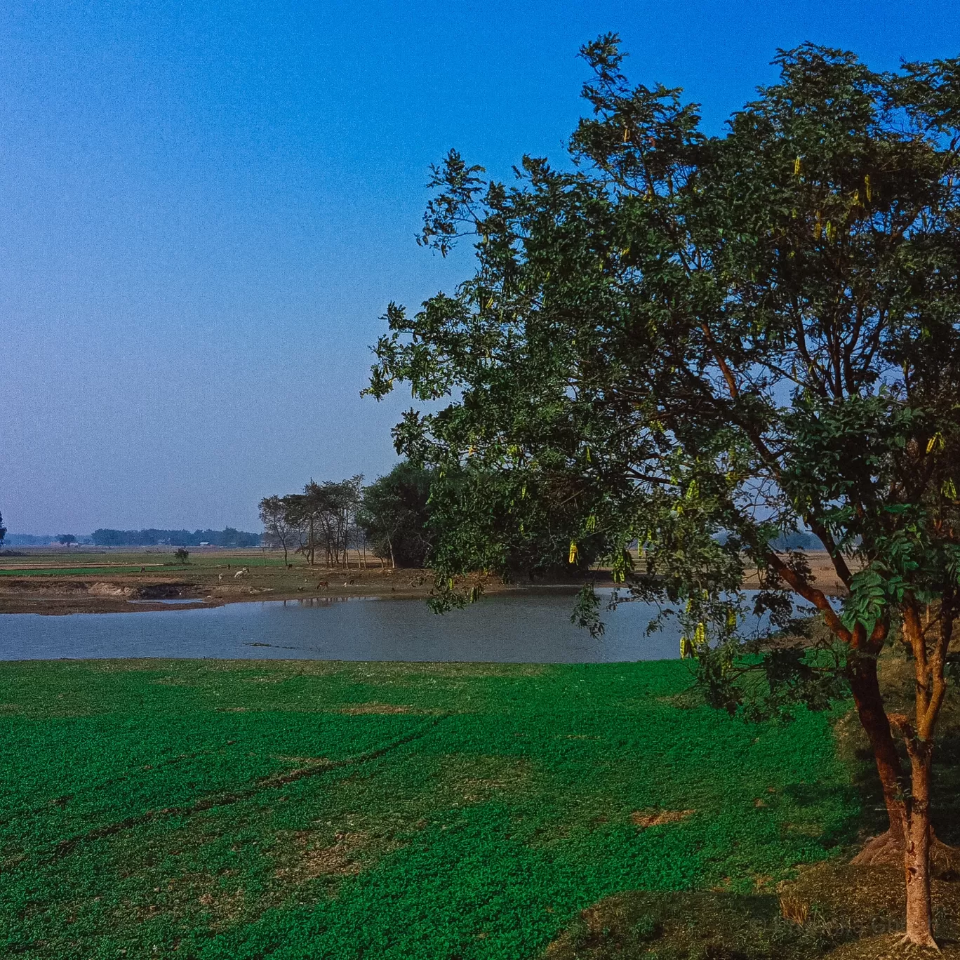 Photo of Bihar By Priyanka Ghosh
