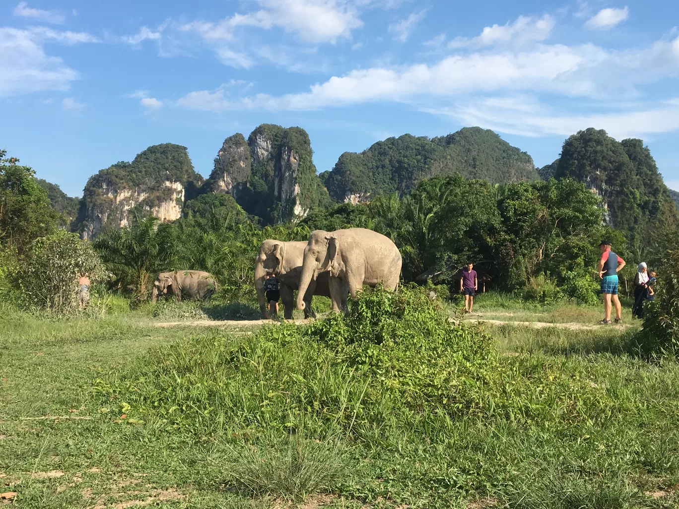 Photo of Krabi Elephant Sanctuary By Vishal Wadhwani