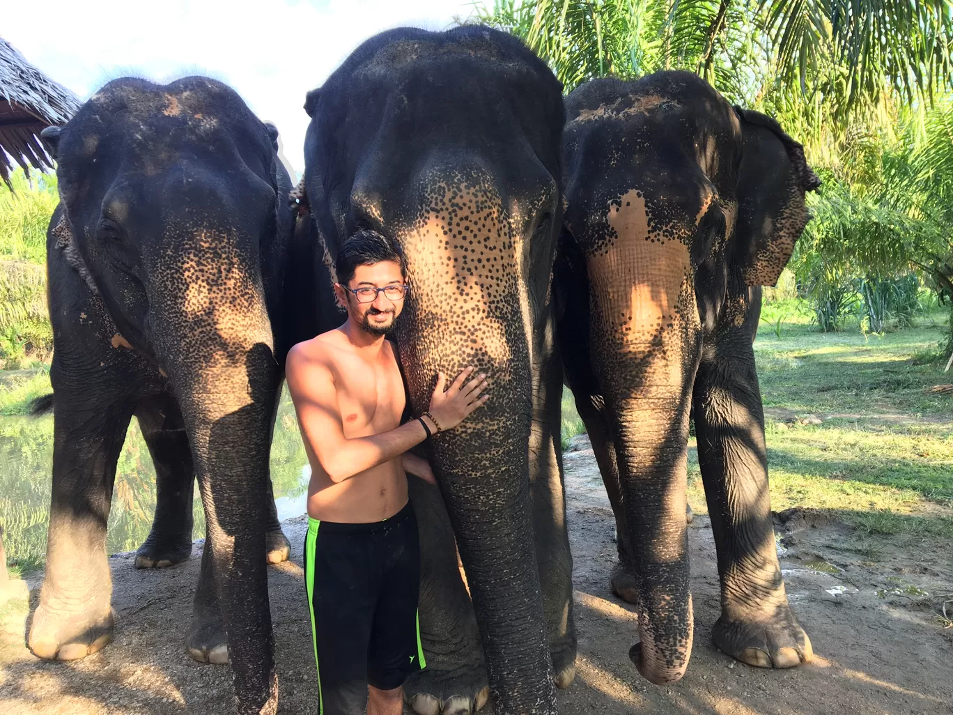 Photo of Krabi Elephant Sanctuary By Vishal Wadhwani