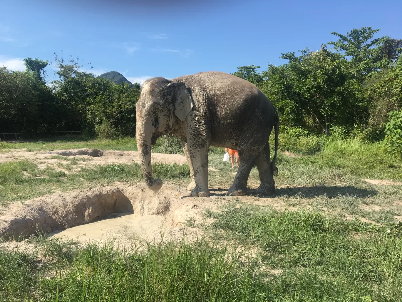 Photo of Krabi Elephant Sanctuary By Vishal Wadhwani