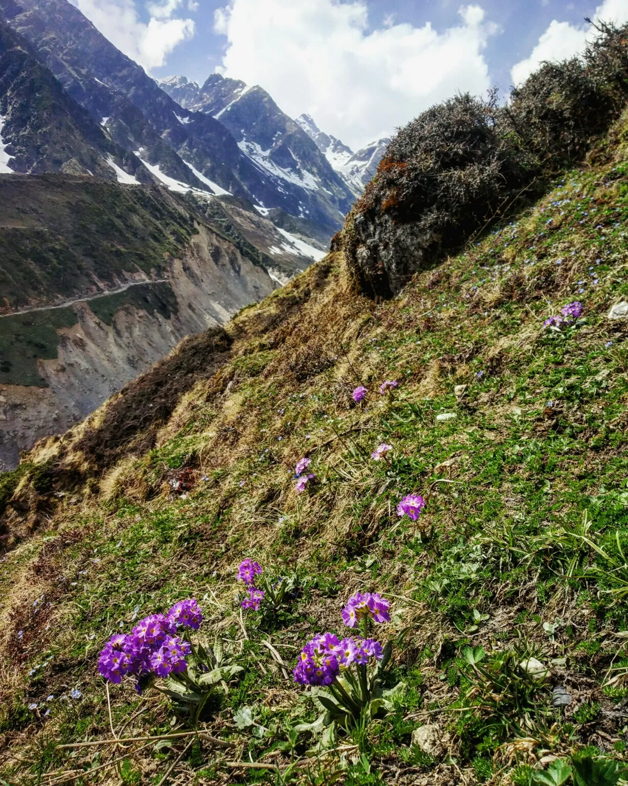 Photo of Kedarnath By Sandeep Pant