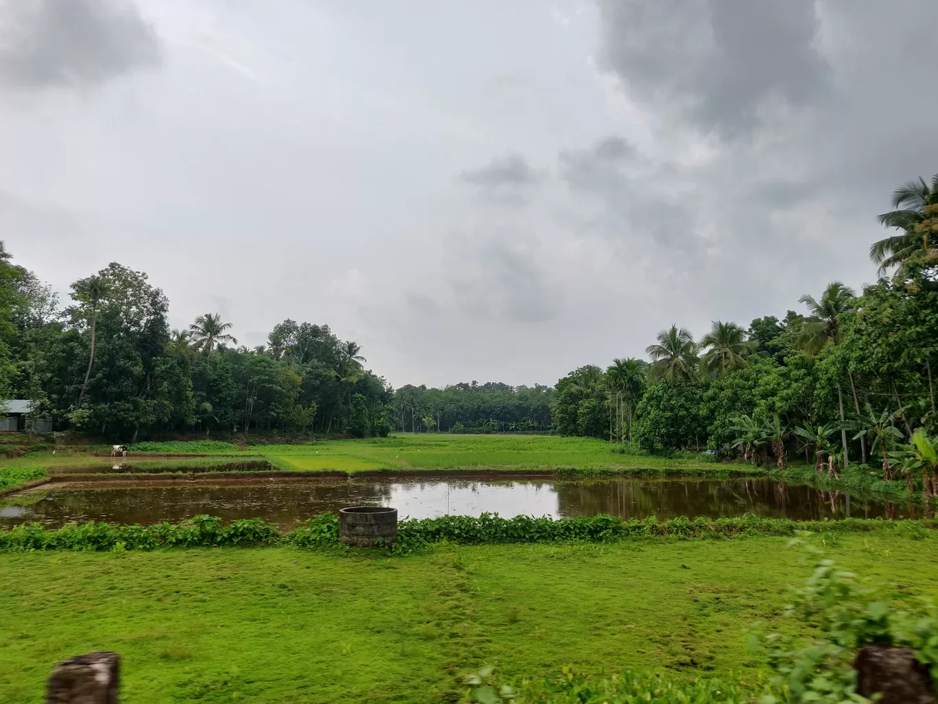 Photo of Kerala By Namratha Somashekar