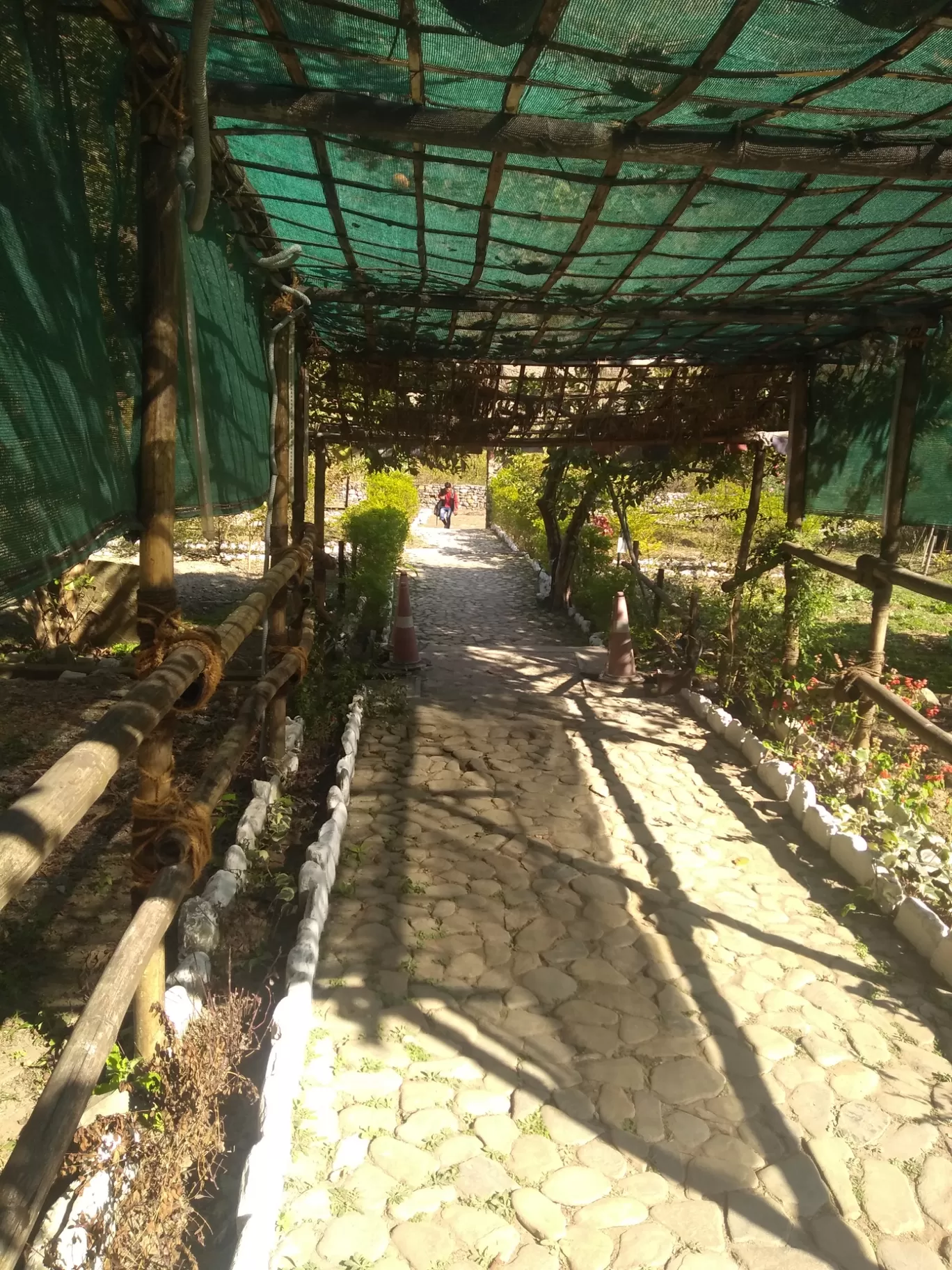 Photo of Camp Advait By Anirudh Rana