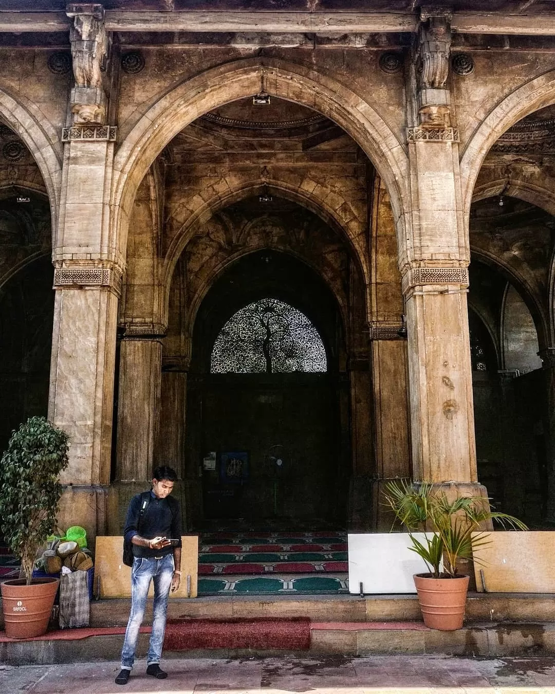 Photo of Sidi Saiyyed Mosque By soham acharya