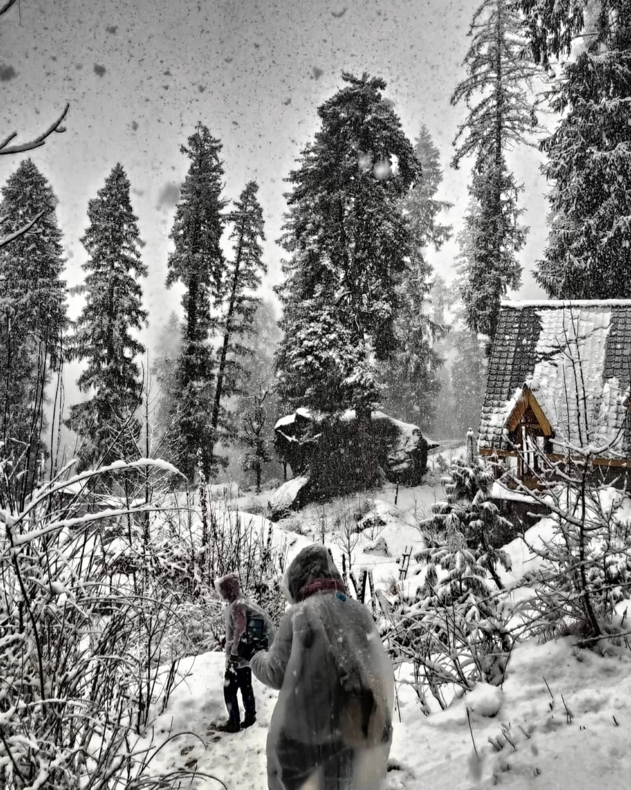Photo of Parvati Valley By Arshad Azeem