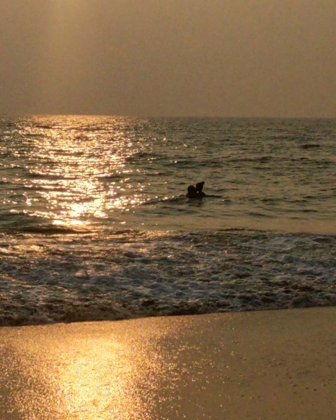 Photo of Kerala By Anupriya Kapur