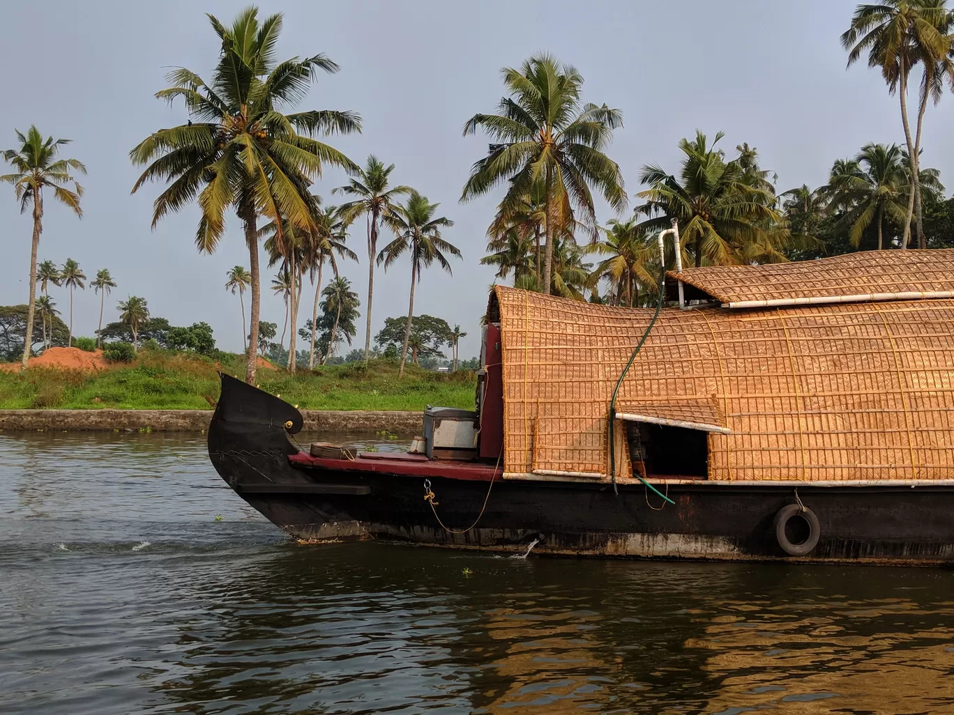Photo of Kerala By Anupriya Kapur