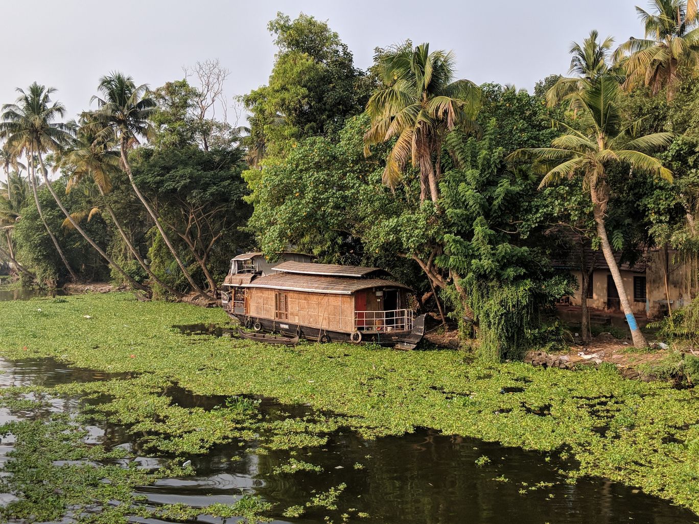 Photo of Kerala By Anupriya Kapur