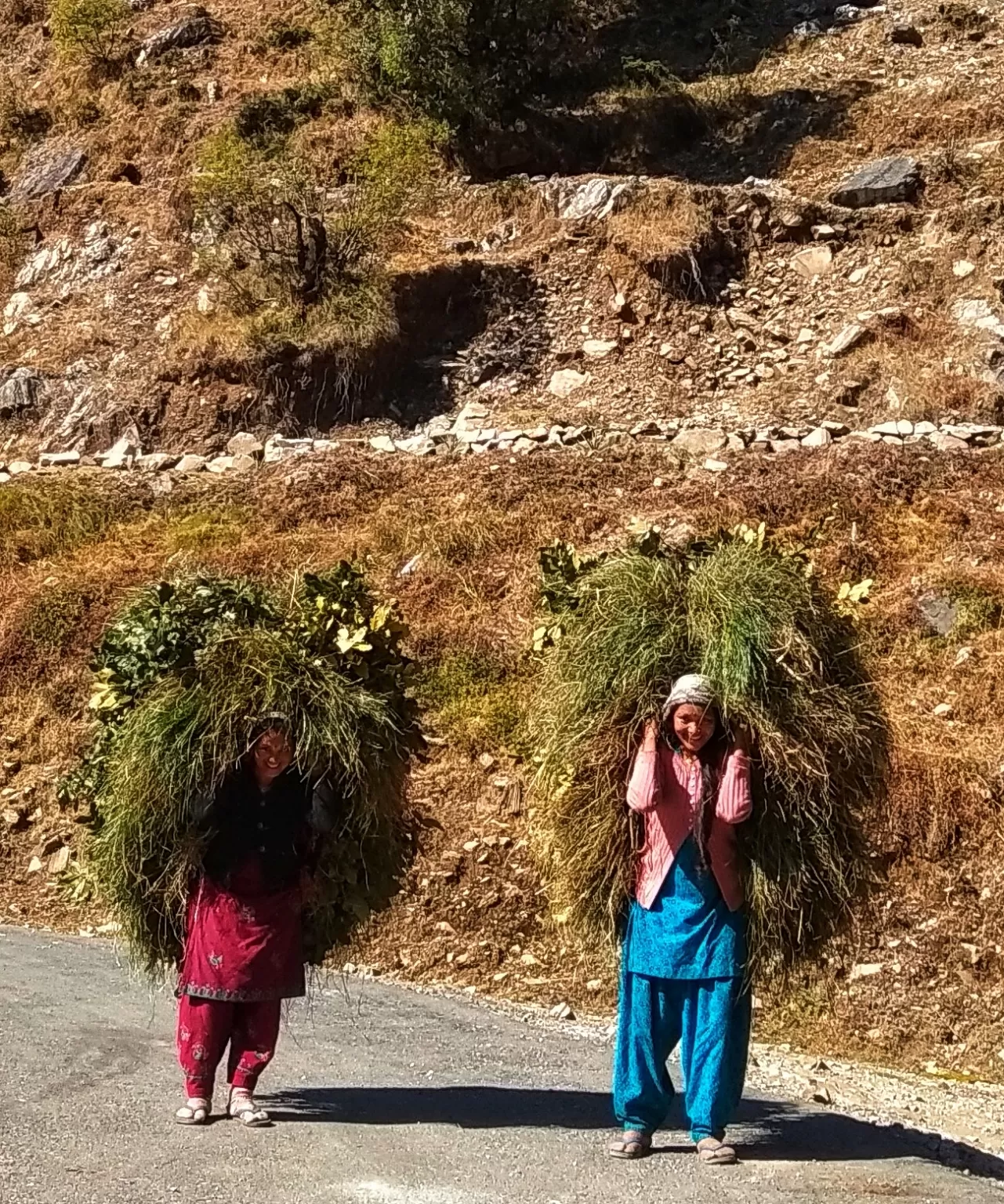 Photo of Uttarakhand By यशपाल सिंह दानू