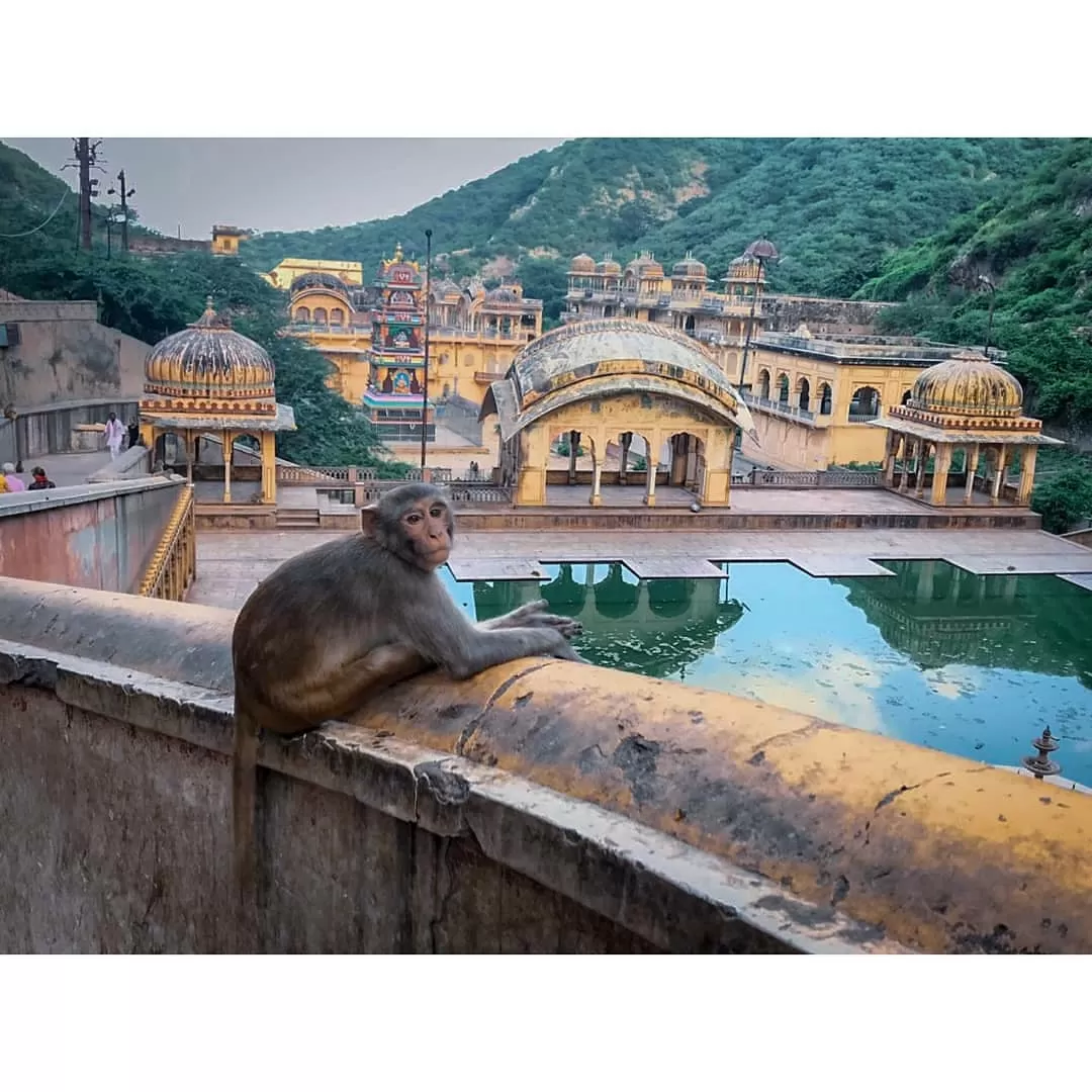 Photo of Rajasthan By Vipul Bhargav