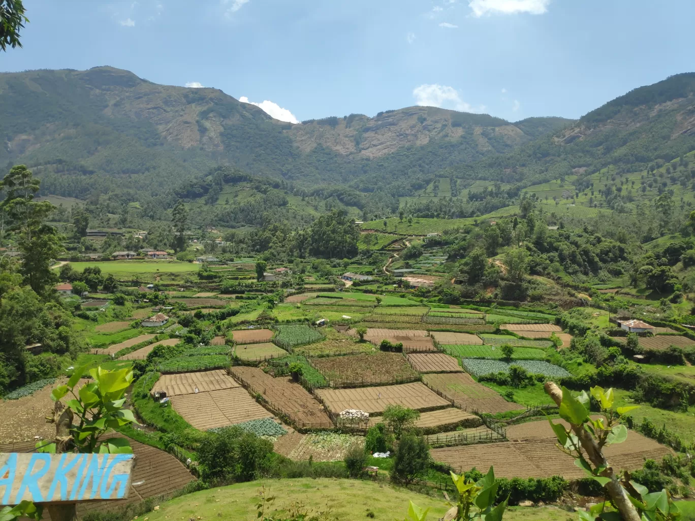 Photo of Munnar By sonia patel