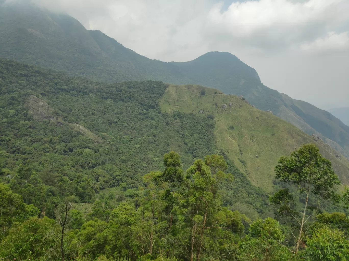 Photo of Munnar By sonia patel