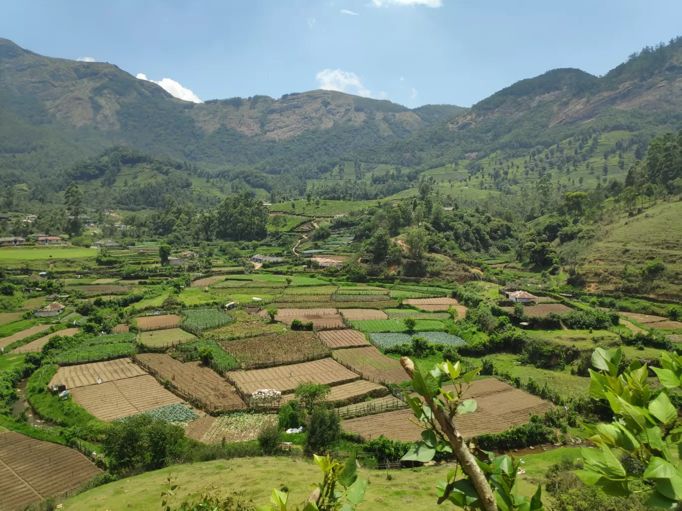Photo of Munnar By sonia patel
