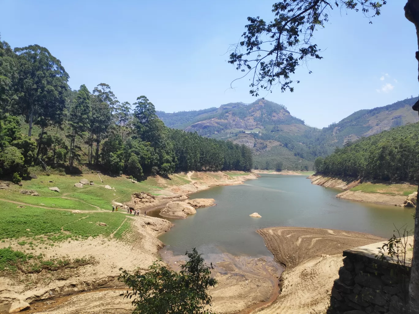 Photo of Munnar By sonia patel