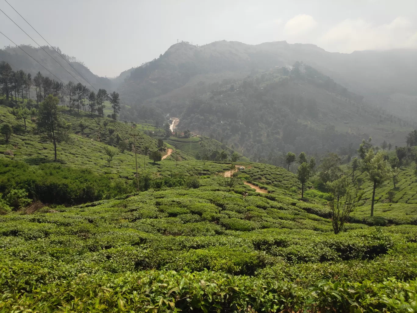 Photo of Munnar By sonia patel