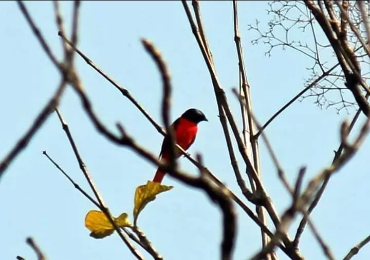 Photo of Jalpaiguri By Madhura Banerjee