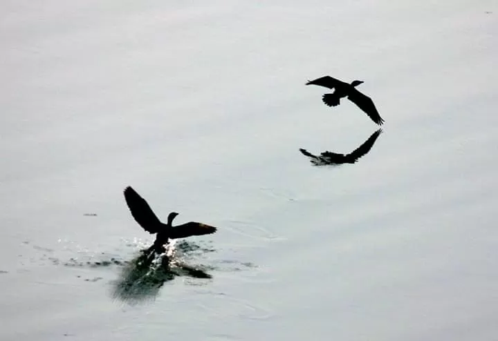 Photo of Jalpaiguri By Madhura Banerjee