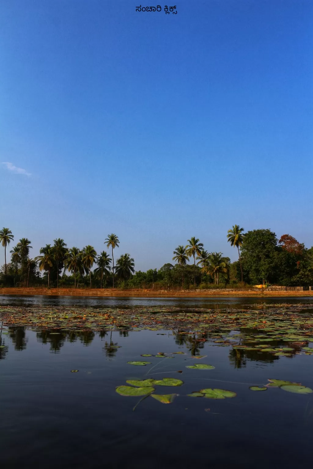 Photo of Varanga Lake Basadi By RAKESHKUMAR PUTTAMALLAIAH