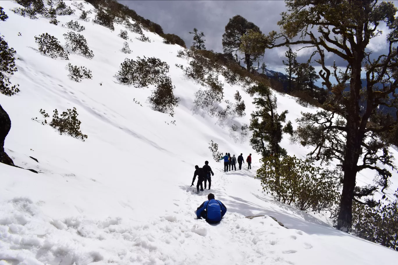 Photo of Chopta Tungnath Chandrashila Trekking By @hello_himalaya 