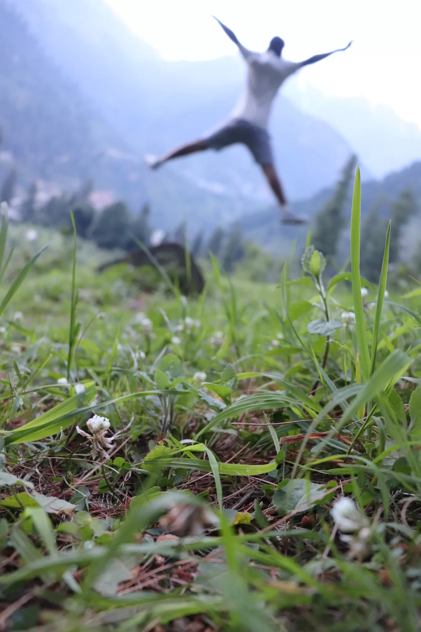 Photo of Kheer Ganga Trek By Abhishek Singh