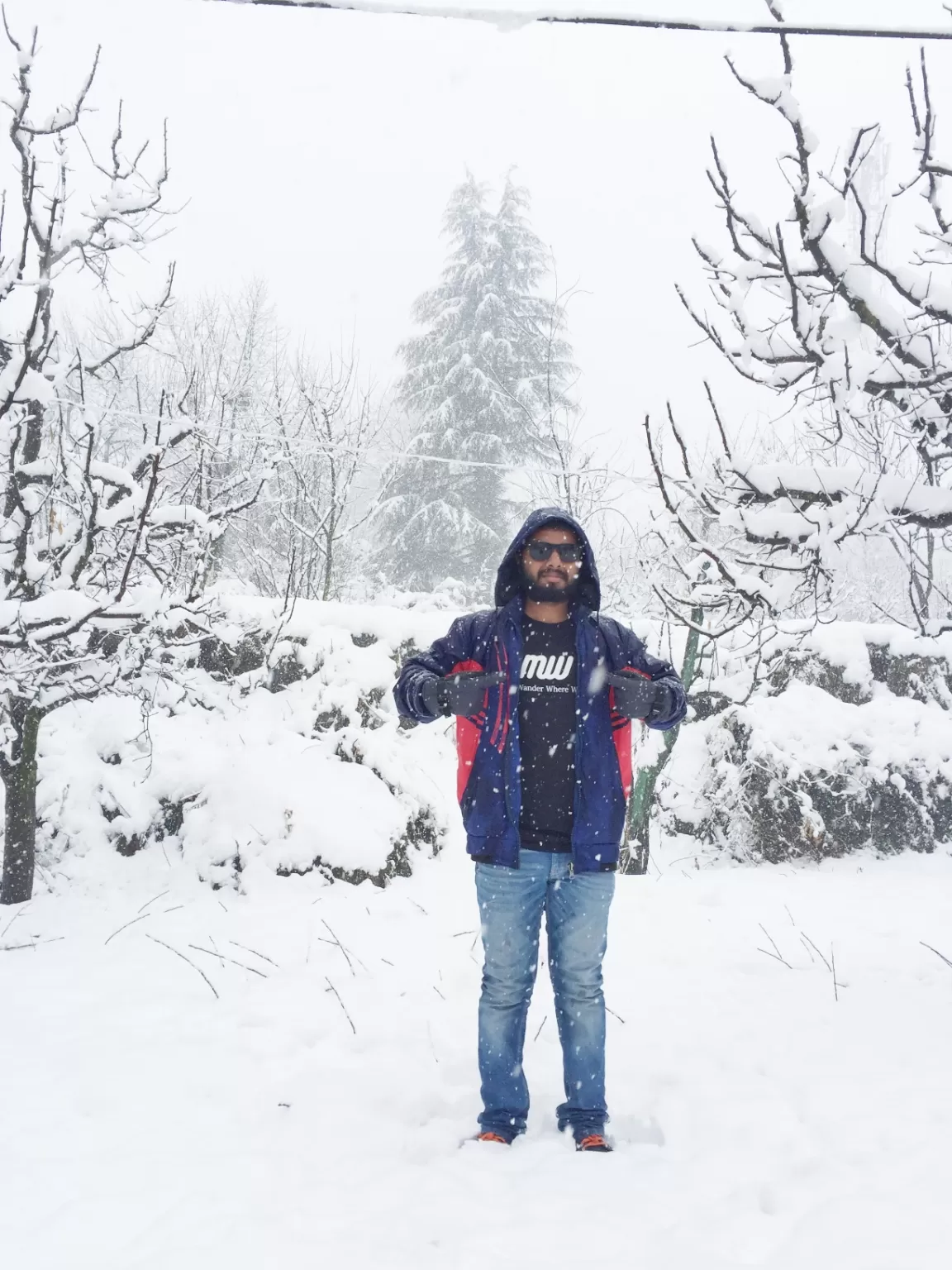 Photo of Manali By Abhishek Singh