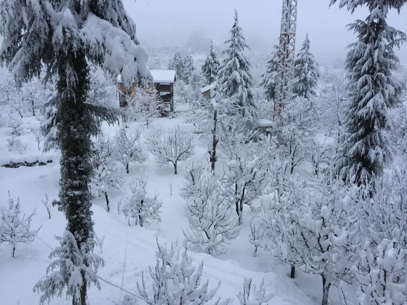 Photo of Manali By Abhishek Singh