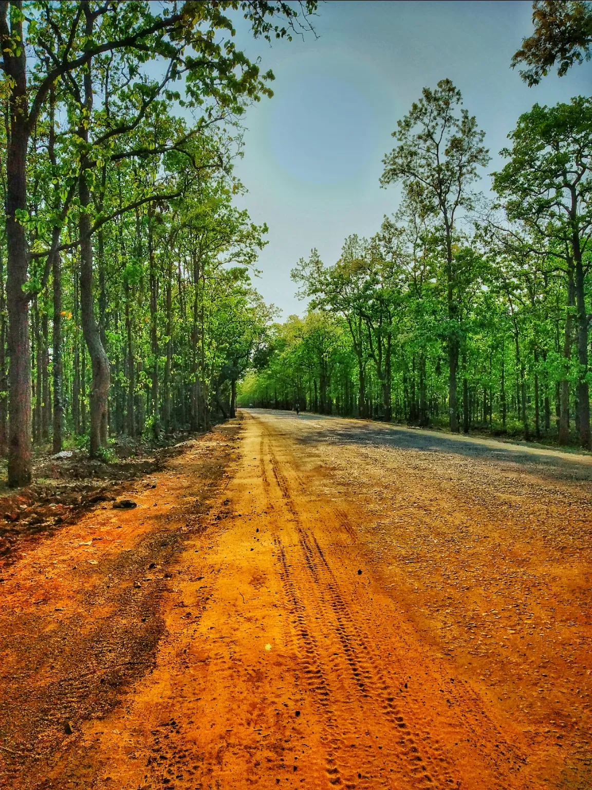 Photo of Joypur Forest Rest House By Animesh Das